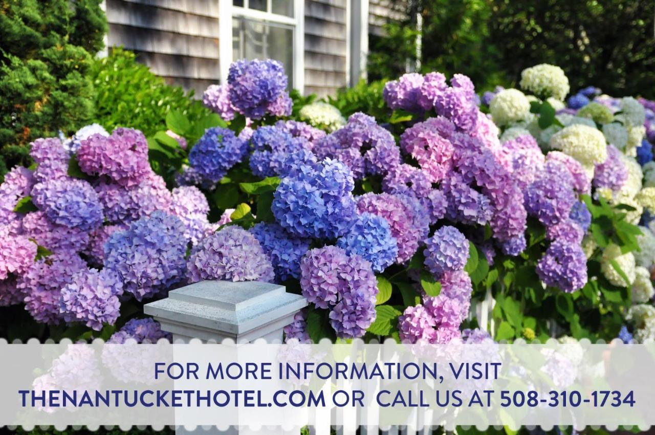 The Nantucket Hotel & Resort Exterior foto